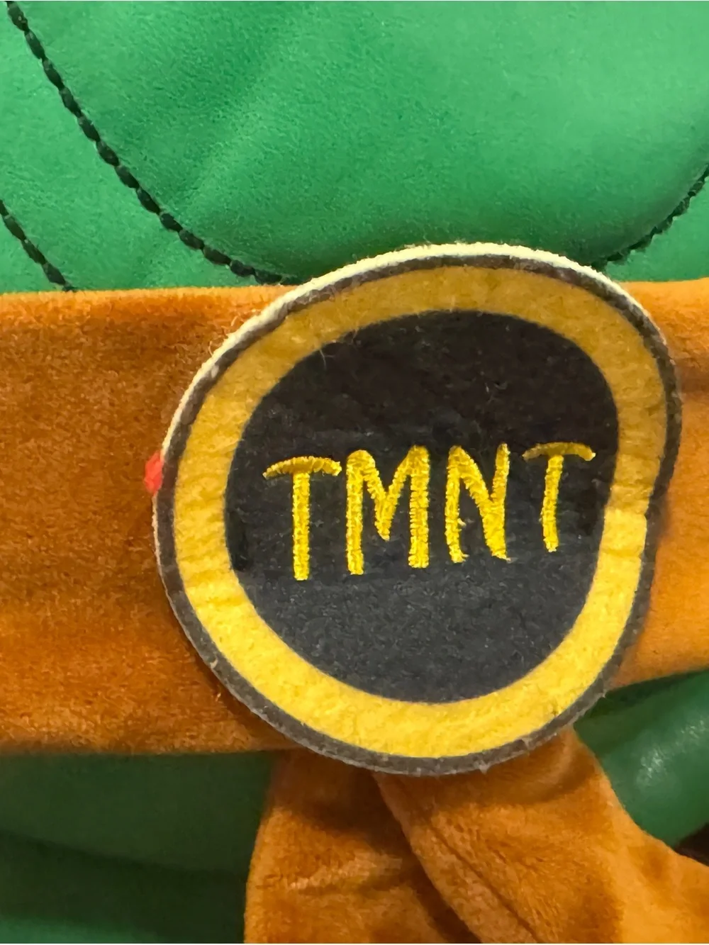 Teenage Mutant Ninja Turtles playful turtle